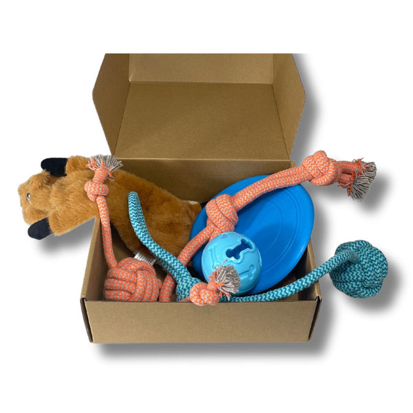 Tug-and-Fetch Toy KIT