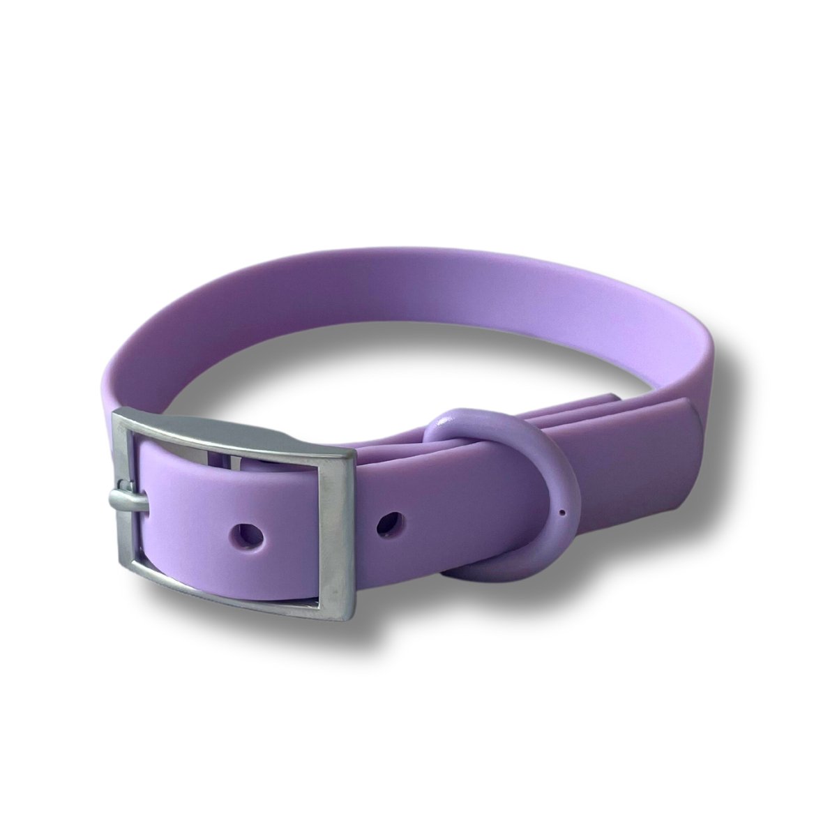 Classy dog hot sale collars